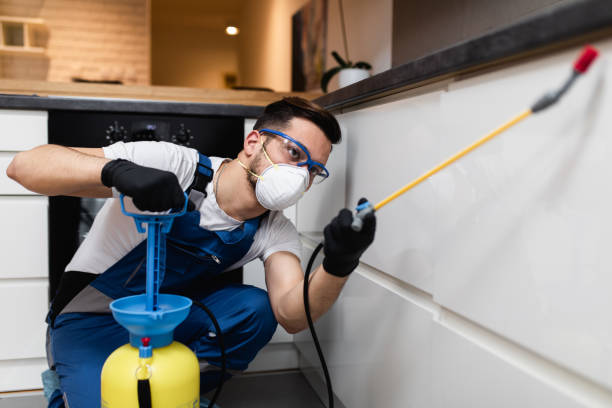Wasp Removal Services in Oak Trail Shores, TX
