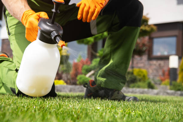 Best Wasp Removal Services  in Oak Trail Shores, TX
