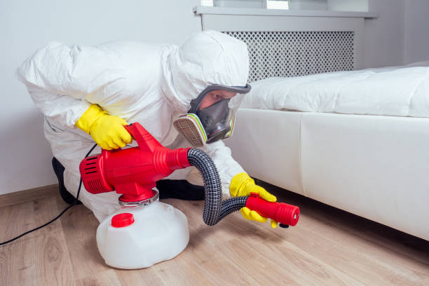 Best Local Pest Control Services  in Oak Trail Shores, TX