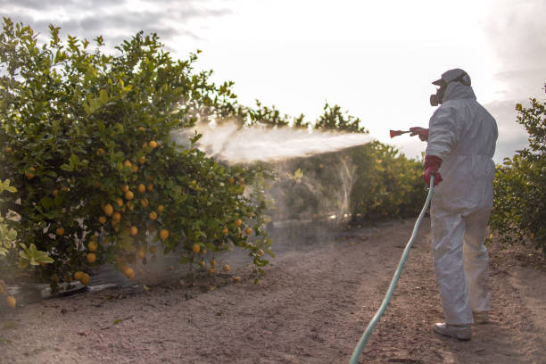 Best Residential Pest Control  in Oak Trail Shores, TX