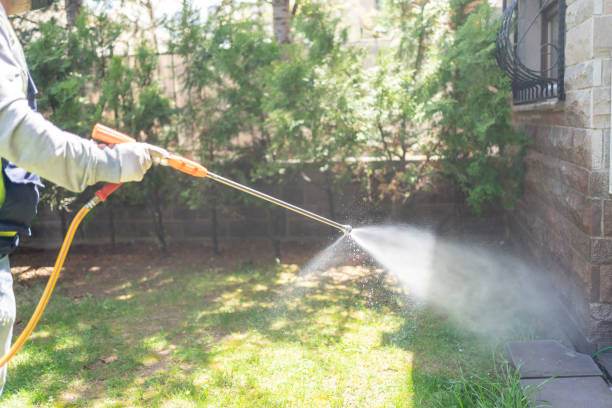 Best Emergency Pest Control  in Oak Trail Shores, TX