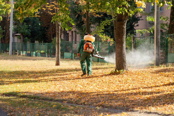 Best Termite Control Services  in Oak Trail Shores, TX
