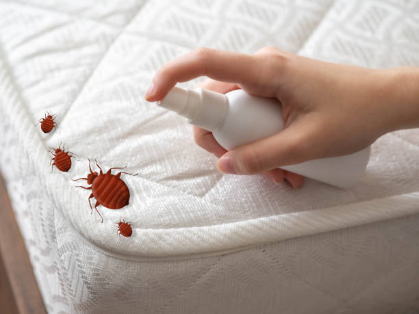 Best Mosquito Control Services  in Oak Trail Shores, TX